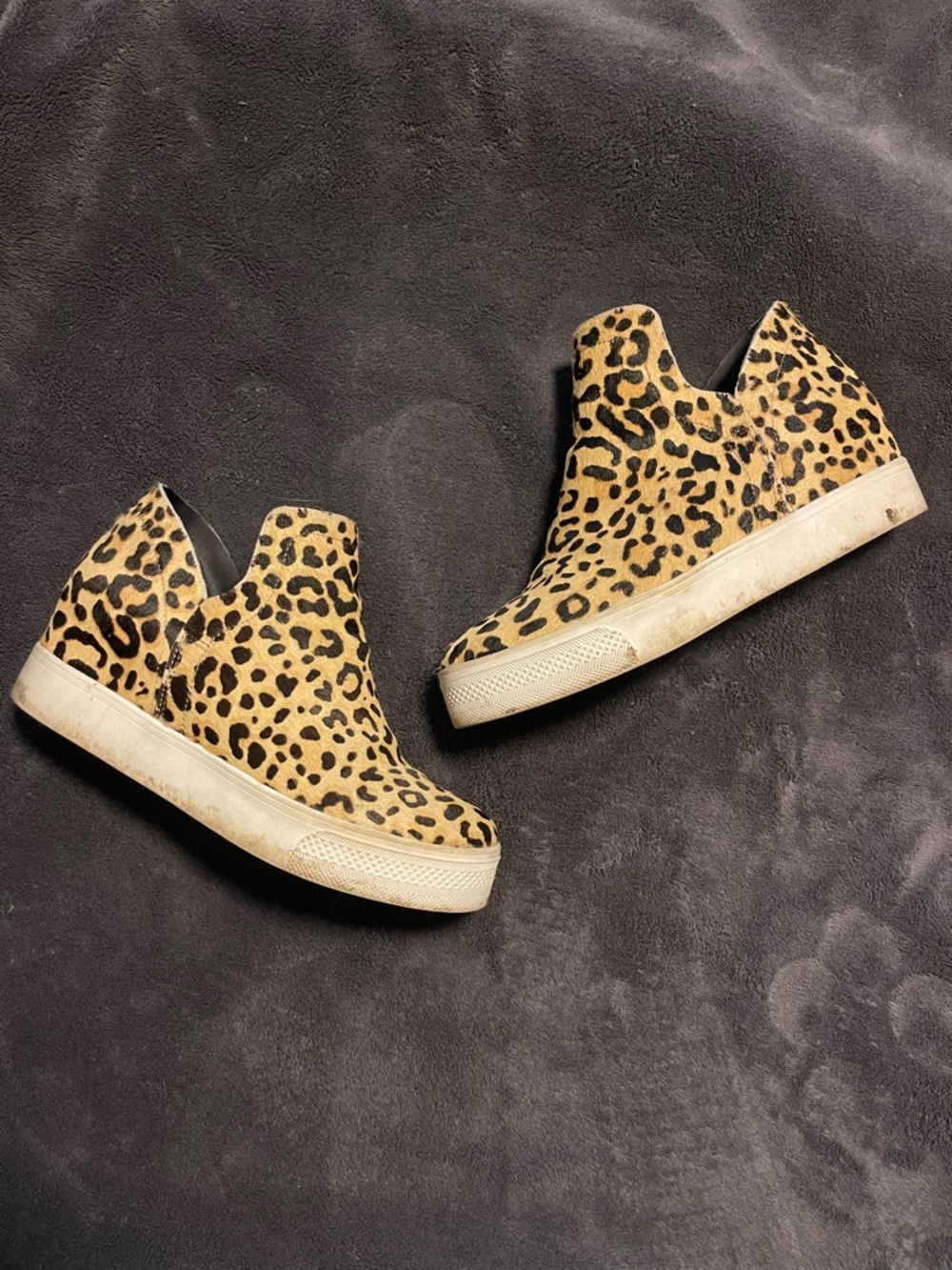 Steve Madden Leopard Print wedge Sneaker